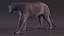 Black Panther Walking Pose