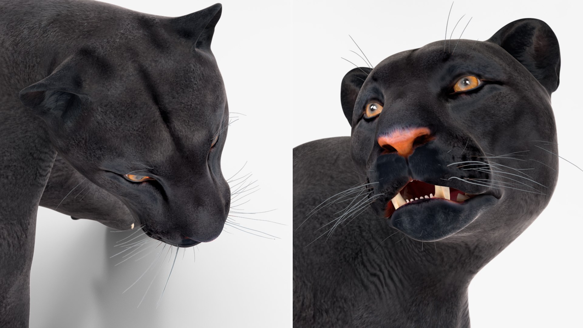 3D Black Panther Walking Pose https://p.turbosquid.com/ts-thumb/2N/IJbFut/eF/blackpantherwalkingposec4dmodel021/jpg/1712871908/1920x1080/fit_q87/1b77bc99fa9e1d9e0a2fc2839030dc924d7cc2d2/blackpantherwalkingposec4dmodel021.jpg
