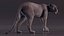 Black Panther Walking Pose