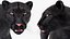 Black Panther Walking Pose