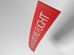 Remove Before Flight TAG