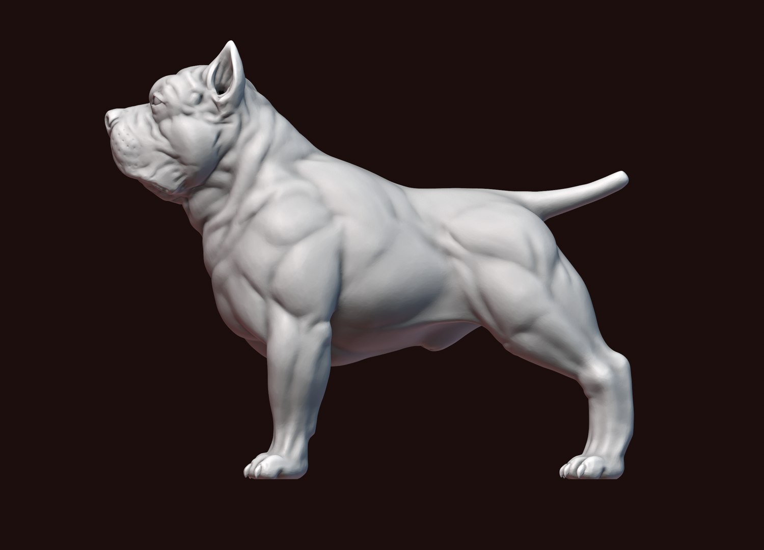 3D model American Bully 3D print https://p.turbosquid.com/ts-thumb/2N/QKdH3r/An/18/png/1648121829/1920x1080/fit_q87/209f67a2c235912bd5466f892b0087292b5210b1/18.jpg