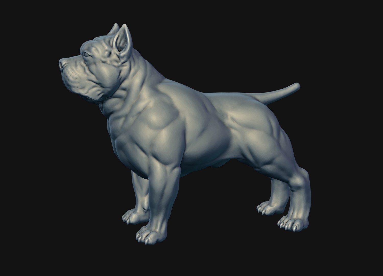 3D model American Bully 3D print https://p.turbosquid.com/ts-thumb/2N/QKdH3r/NS/24/png/1648121839/1920x1080/fit_q87/0b255be65825638b9e528dfefefad986349d2958/24.jpg