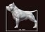 Stampa 3D del bullo americano