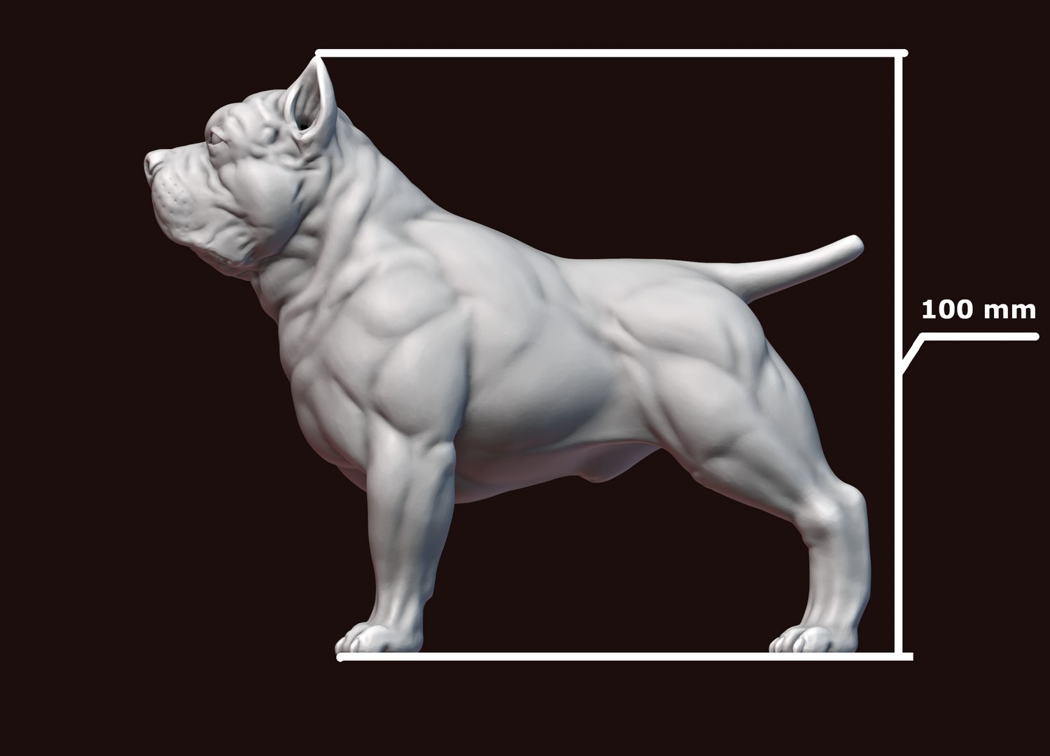 3D model American Bully 3D print https://p.turbosquid.com/ts-thumb/2N/QKdH3r/Ye/211/png/1648121820/1920x1080/fit_q87/7db842be3f8ac2944780069457314c93d348aa52/211.jpg