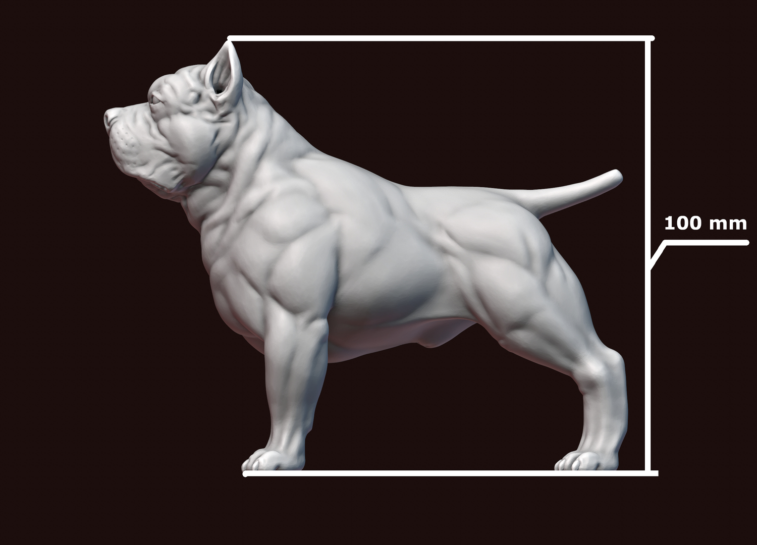 3D model American Bully 3D print - TurboSquid 1872334