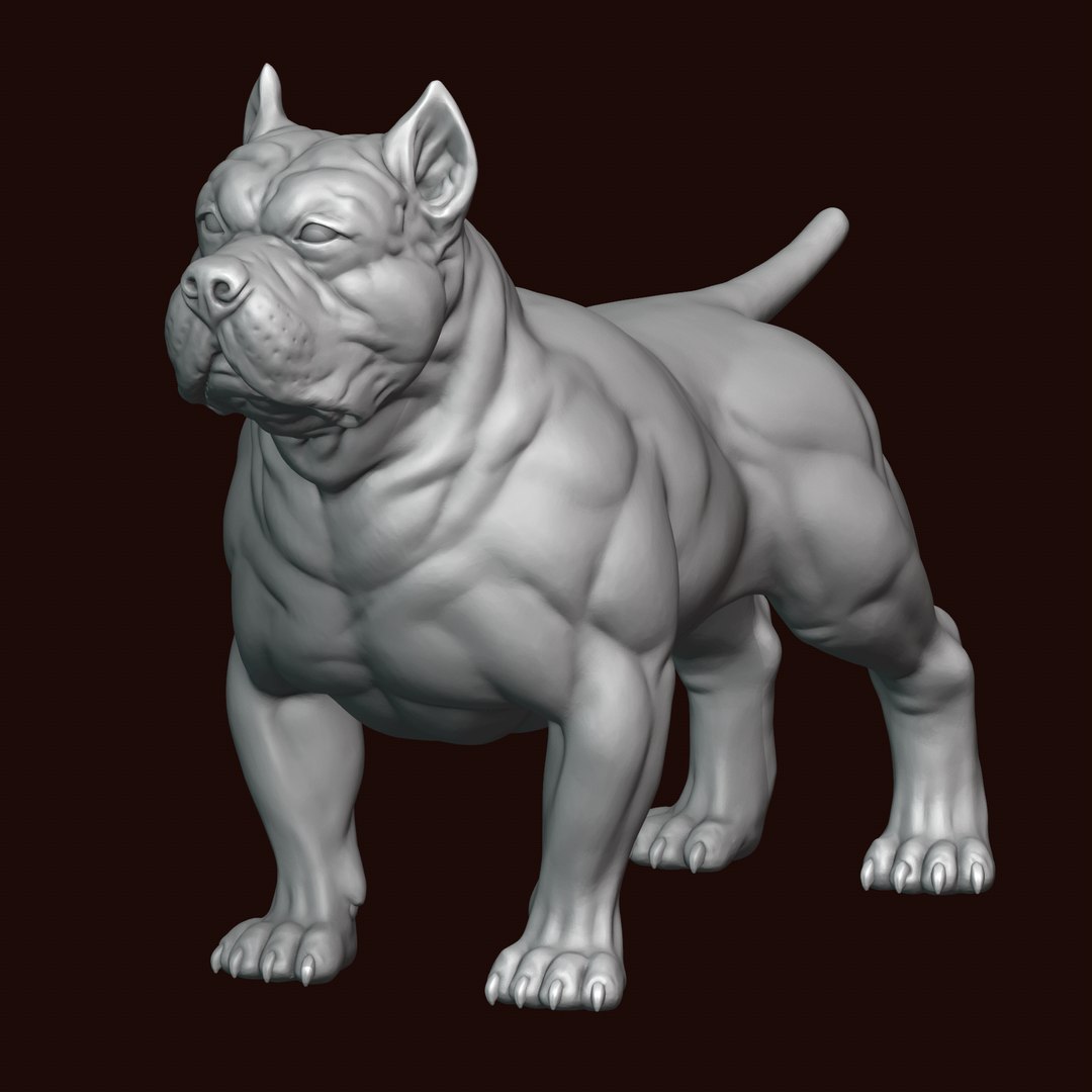 3,048 Small American Bully Dog Images, Stock Photos, 3D objects