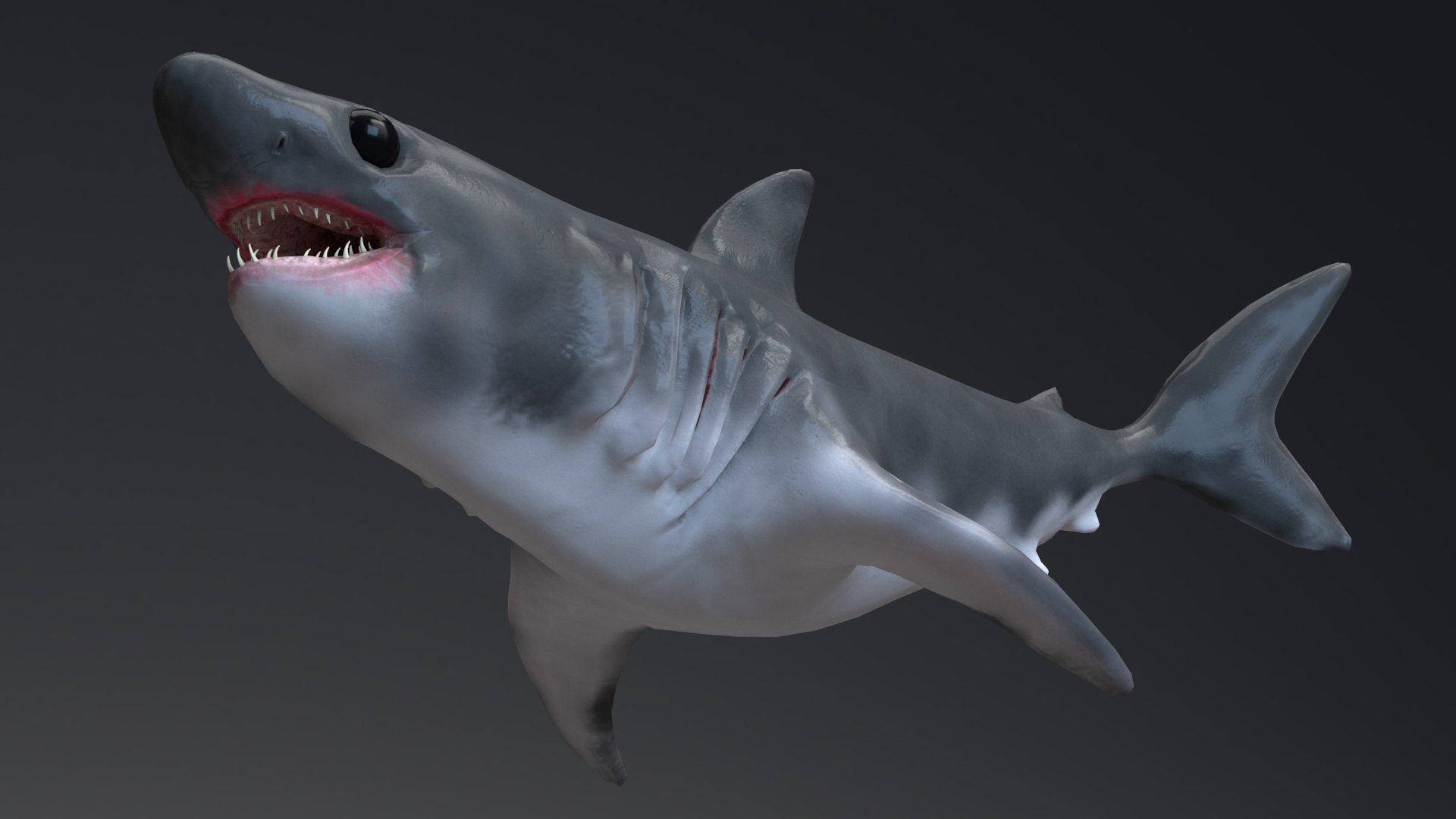 3D Baby Shark Model - 18 Animations model https://p.turbosquid.com/ts-thumb/2N/RU6s9X/Jm/03/jpg/1622383821/1920x1080/fit_q87/a0f5578c219d4ec4442323b7172a191ccdc53dbe/03.jpg