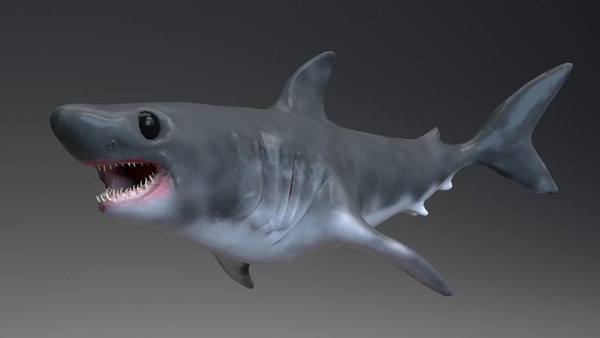 3D Baby Shark Model - 18 Animations model - TurboSquid 1739848