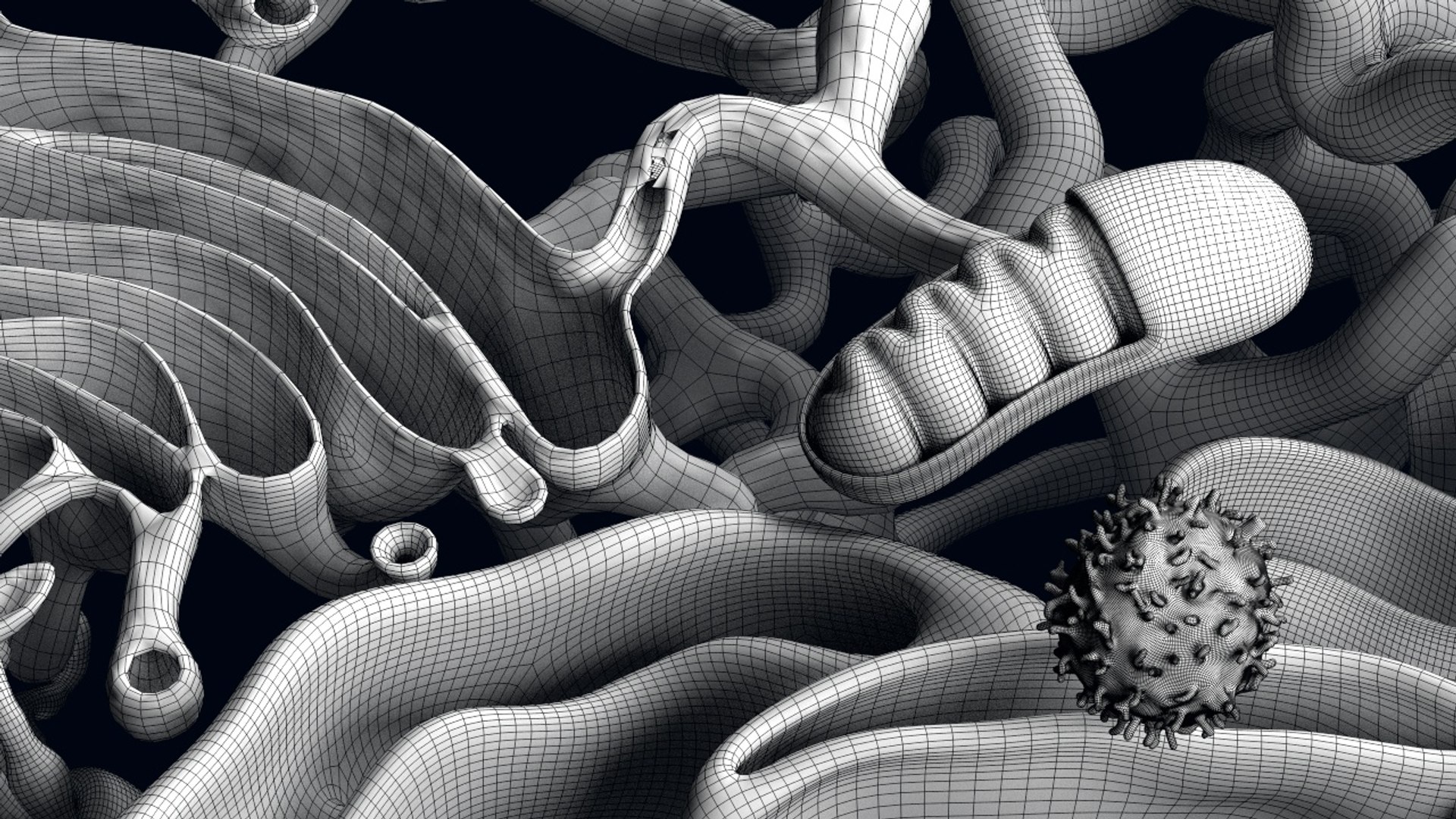 Cell Reticulum Endoplasmic 3D Model - TurboSquid 1354436