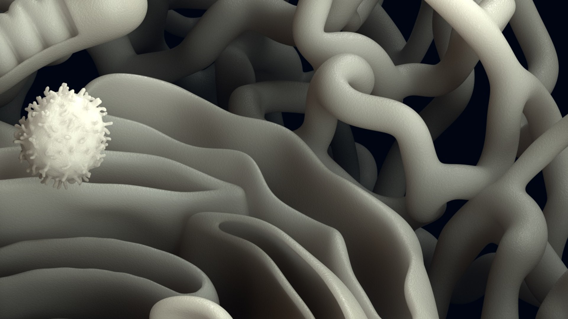 Cell Reticulum Endoplasmic 3D Model - TurboSquid 1354436