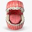 Human Mouth With Self Ligating Steel Dental Braces V03