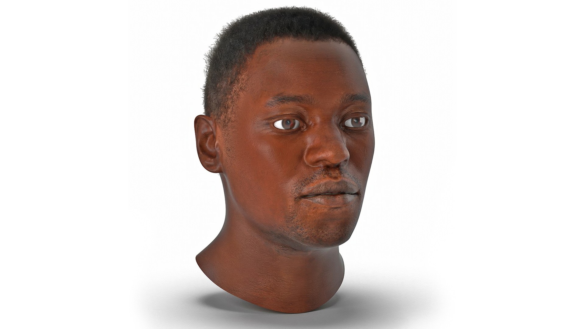 African American Male Head Rigged Fur 3D model preview
