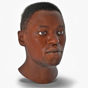 African American Male Head Rigged Fur 3D model