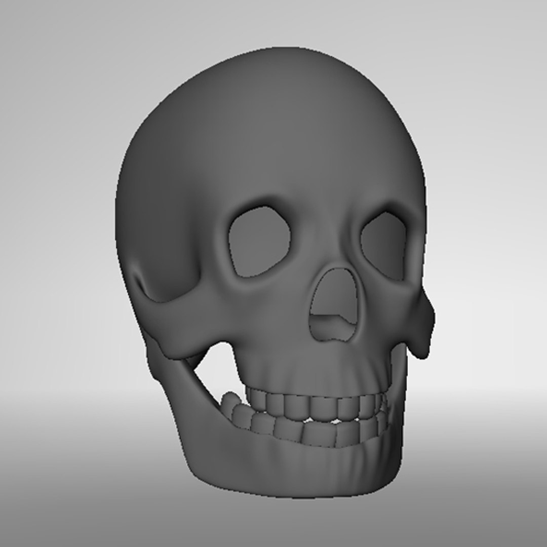 human skull 3d model