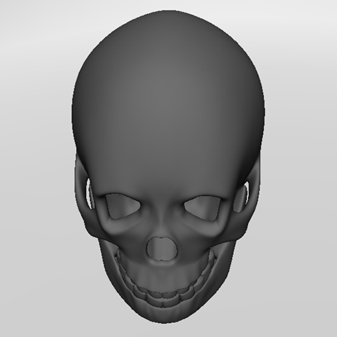 Human Skull 3d Model