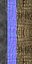 Lierre colonne