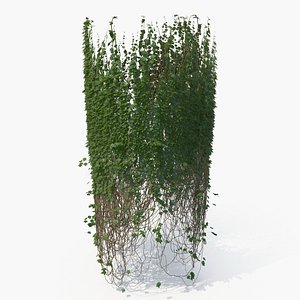 Column Tree 3D Models for Download | TurboSquid