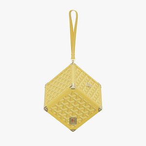 GOYARD De Trunk Bag 3 model