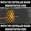 Cartoon Pineapple Rigged