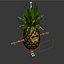 Cartoon Pineapple Rigged