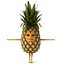 Cartoon Pineapple Rigged