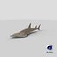 shovelnose guitarfish model