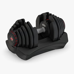 Bowflex Selecttech 1090i Dumbbells