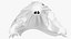 White Ghost Phantom