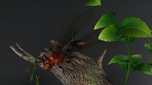 flying ant insect gameready bug wild kritrim 3D model