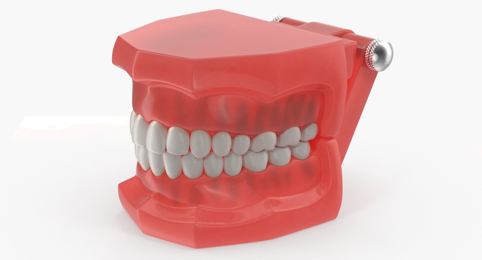 Typodont Teeth Model 3D 3D model preview