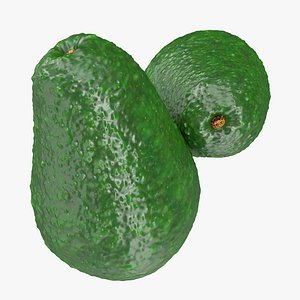 avocado 3 3d model