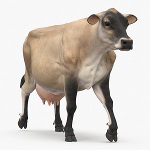 Mini Cow Goes Beige