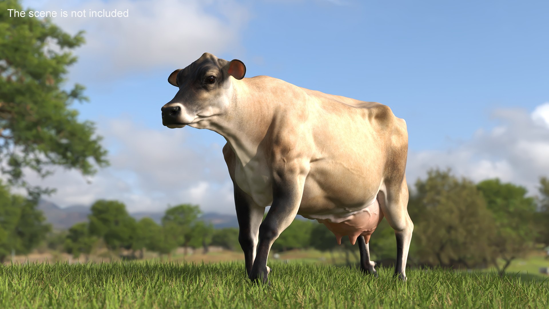 Mini Cow Goes Beige 3D Model - TurboSquid 2312368