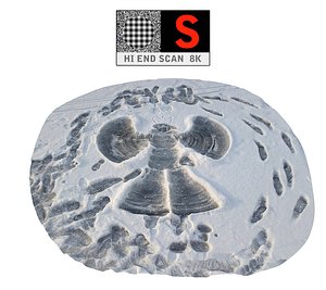 3d eagle snow hd model