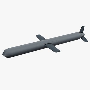 Modern Cruise Missile