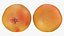 Coleção de toranja