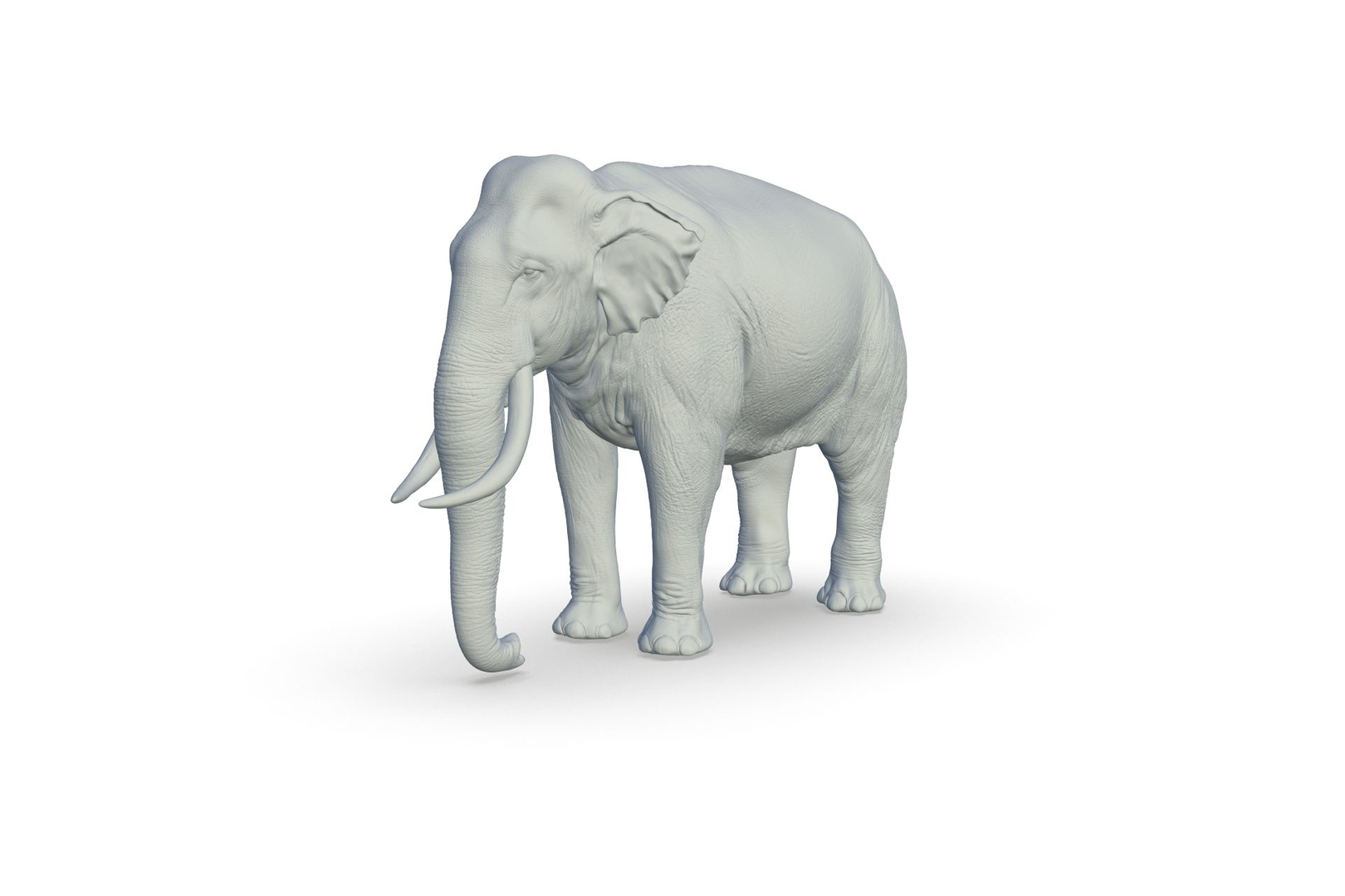 Sri Lankan Elephant 3D https://p.turbosquid.com/ts-thumb/2P/Dh6vaX/03/turntable/jpg/1712423641/1920x1080/turn_fit_q99/90139e239abcc844ae2140cbdb9e811136fed4aa/turntable-1.jpg