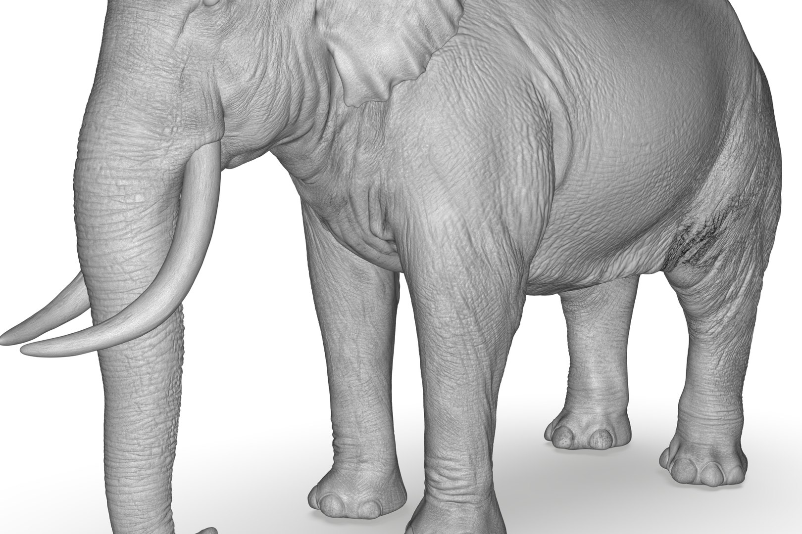 Sri Lankan Elephant 3D https://p.turbosquid.com/ts-thumb/2P/Dh6vaX/06/render_23/jpg/1712423569/1920x1080/fit_q87/d2b098d7d1300a24ed693ac287b573c22c706cbd/render_23.jpg