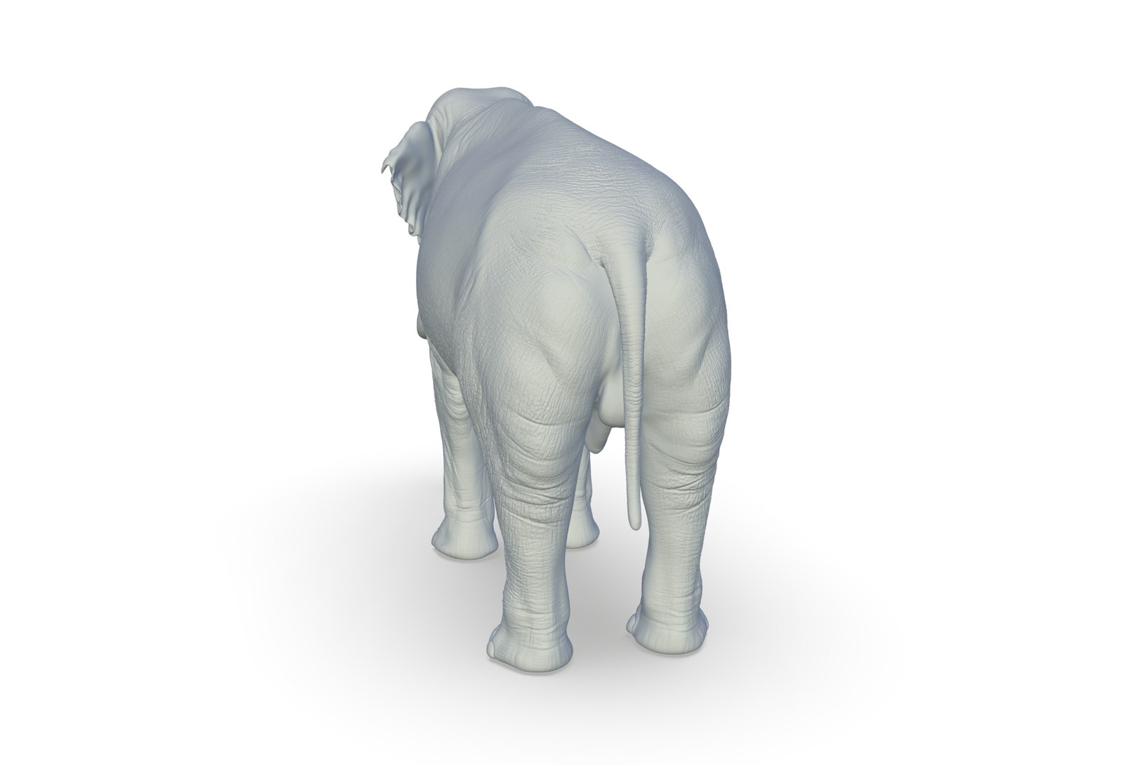 Sri Lankan Elephant 3D https://p.turbosquid.com/ts-thumb/2P/Dh6vaX/0I/render_04/jpg/1712423555/1920x1080/fit_q87/b942221e4efdf93f4f5e4e9e401427384ab1dda5/render_04.jpg