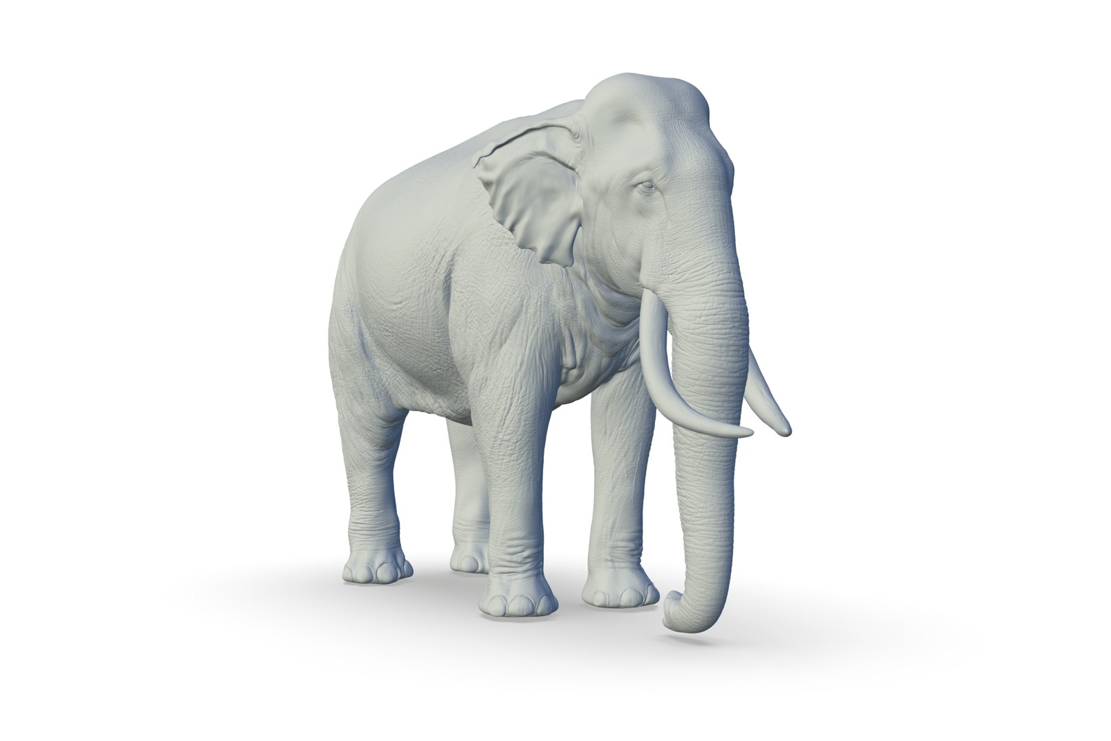 Sri Lankan Elephant 3D https://p.turbosquid.com/ts-thumb/2P/Dh6vaX/0w/render_10/jpg/1712423559/1920x1080/fit_q87/36b7454b4300a8c648d03c6a9a86c4724914c0cd/render_10.jpg