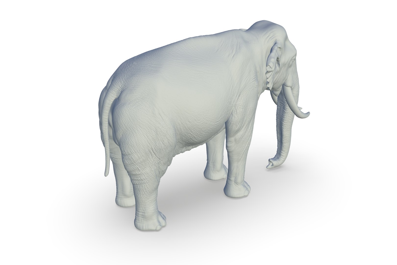Sri Lankan Elephant 3D https://p.turbosquid.com/ts-thumb/2P/Dh6vaX/8A/render_07/jpg/1712423556/1920x1080/fit_q87/15e74192d6766251380cc3adff6b391c805dab0d/render_07.jpg