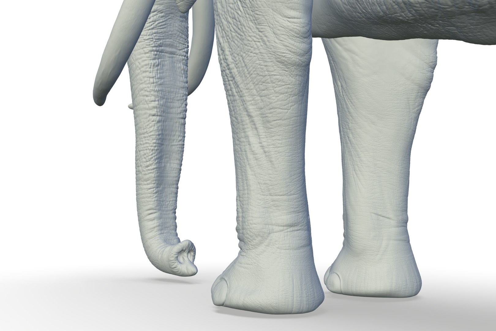 Sri Lankan Elephant 3D https://p.turbosquid.com/ts-thumb/2P/Dh6vaX/AC/render_17/jpg/1712423565/1920x1080/fit_q87/8eae1c1e958844892d5e72e9792d42c95a340169/render_17.jpg