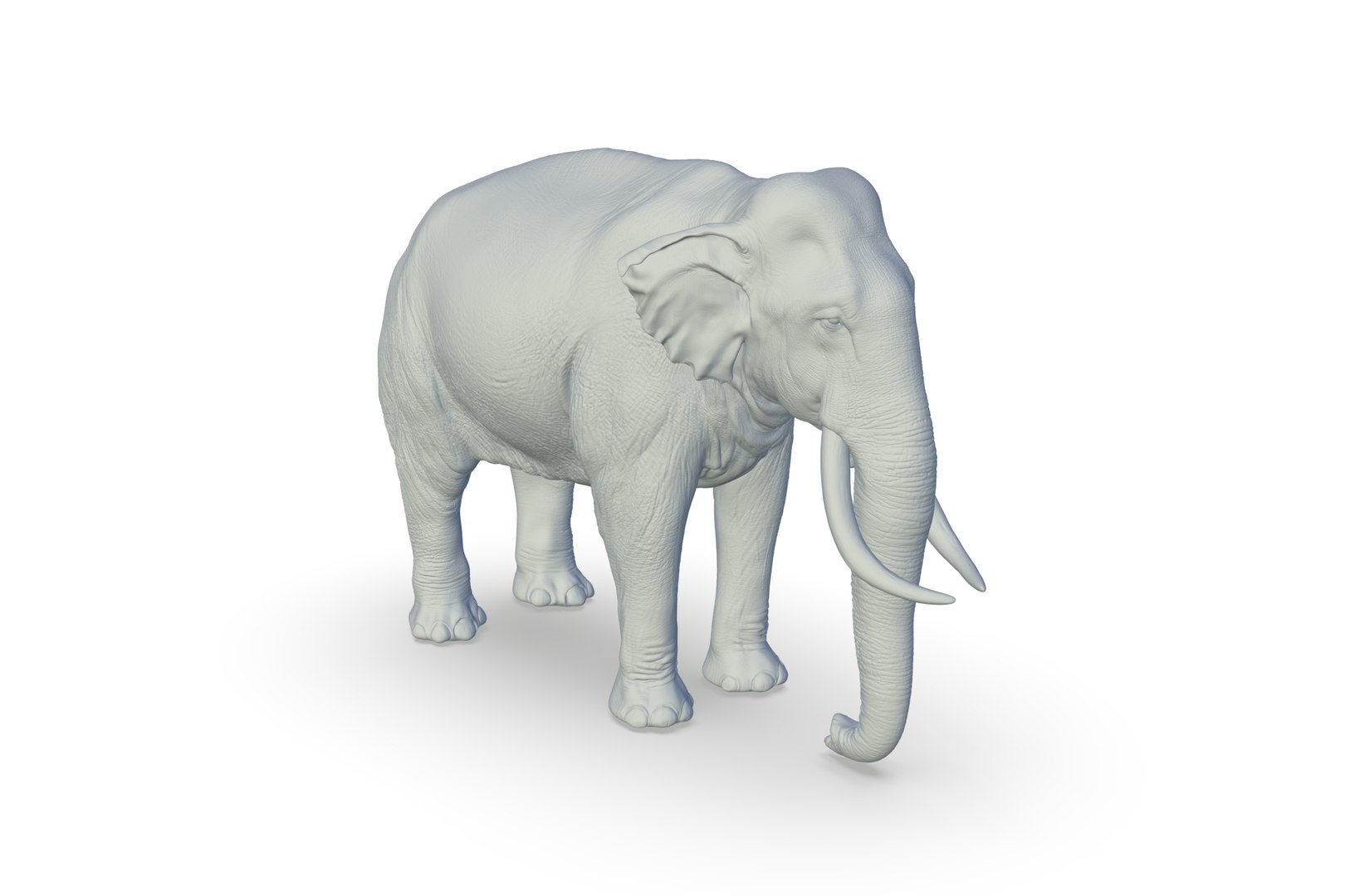 Sri Lankan Elephant 3D https://p.turbosquid.com/ts-thumb/2P/Dh6vaX/Mv/render_09/jpg/1712423558/1920x1080/fit_q87/b5ad33dc22efbd16d5a496925d30bde8d0a17073/render_09.jpg