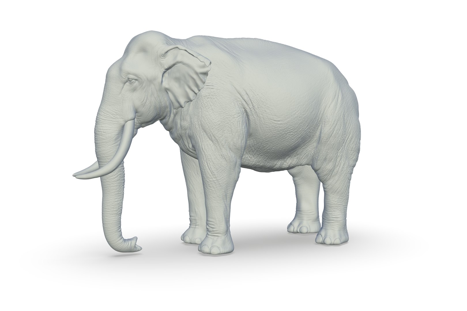 Sri Lankan Elephant 3D https://p.turbosquid.com/ts-thumb/2P/Dh6vaX/WL/render_01/jpg/1712423554/1920x1080/fit_q87/8872134b88347afdfb9b1f187593e8e4ba71a532/render_01.jpg