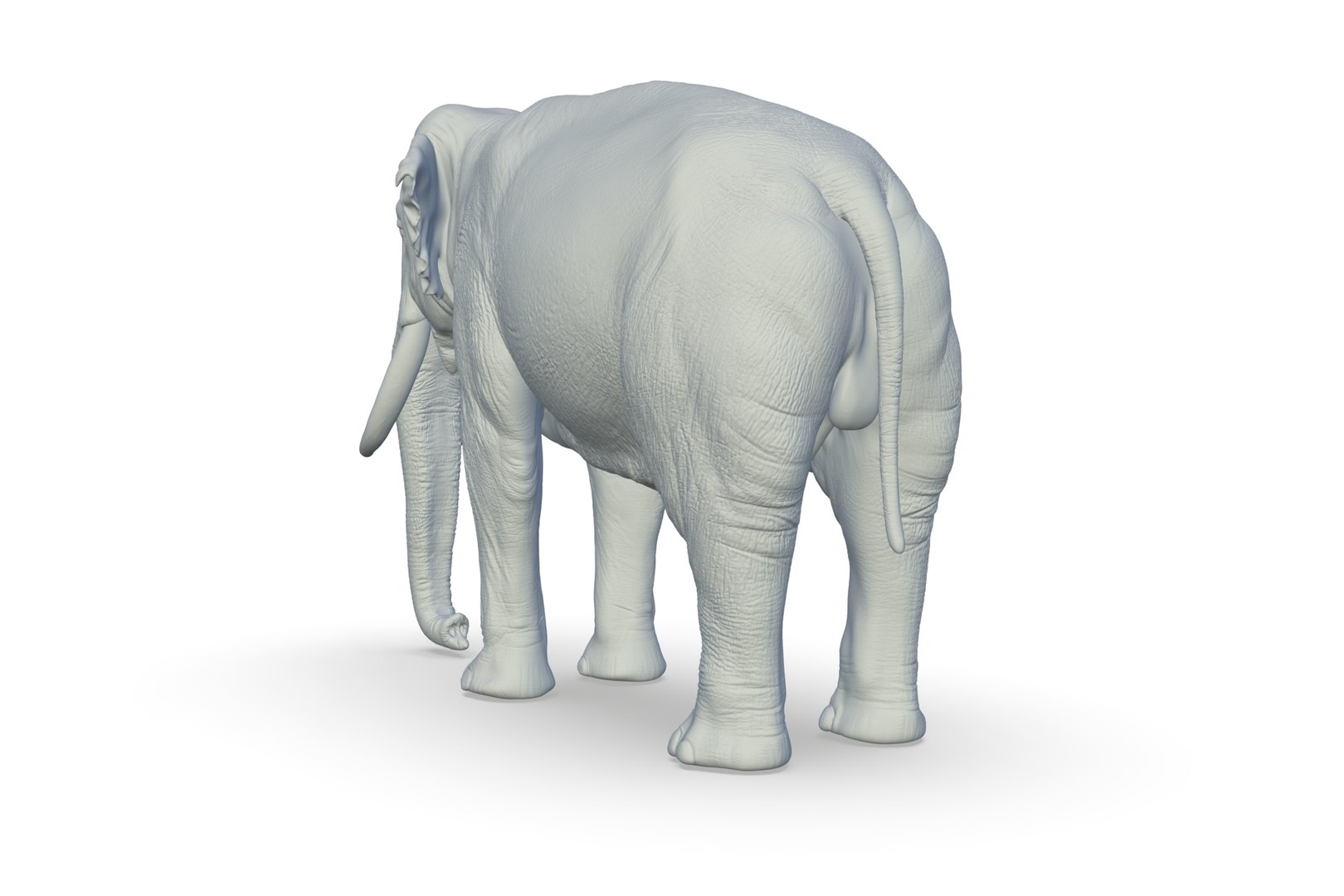 Sri Lankan Elephant 3D https://p.turbosquid.com/ts-thumb/2P/Dh6vaX/XN/render_03/jpg/1712423554/1920x1080/fit_q87/8a9b4b8ddb739b3537104b5fde95d11bd12ce2bb/render_03.jpg