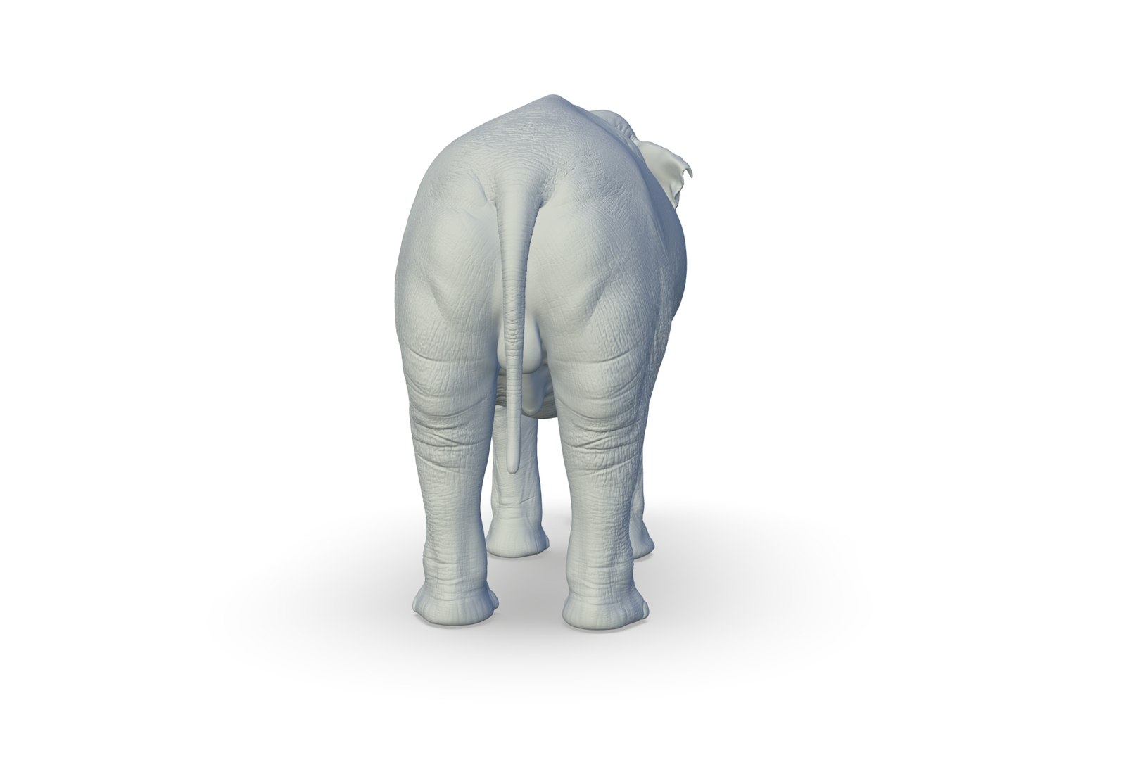 Sri Lankan Elephant 3D https://p.turbosquid.com/ts-thumb/2P/Dh6vaX/Zv/render_05/jpg/1712423555/1920x1080/fit_q87/1df308f80145d89804b20736ceaf3710c6b546e7/render_05.jpg