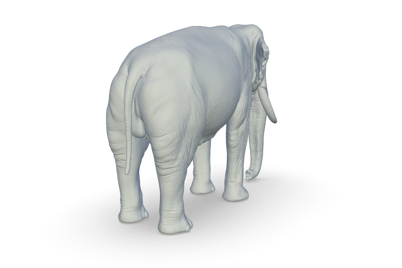 Sri Lankan Elephant 3D https://p.turbosquid.com/ts-thumb/2P/Dh6vaX/aT/render_06/jpg/1712423556/1920x1080/fit_q87/c74c12d3242be093134d0b351207d5871e36a7ff/render_06.jpg