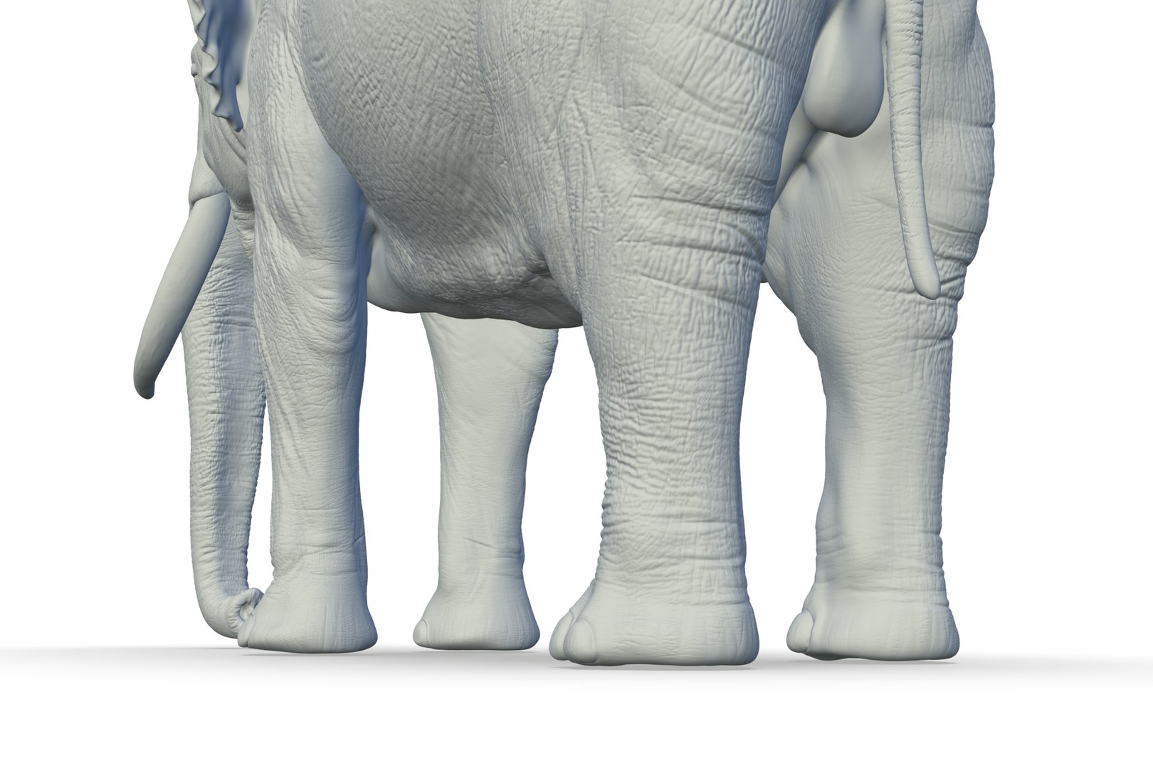 Sri Lankan Elephant 3D https://p.turbosquid.com/ts-thumb/2P/Dh6vaX/fT/render_19/jpg/1712423566/1920x1080/fit_q87/d17b33b2315fbcd63dc0eeb22bbd36c086cc3c20/render_19.jpg