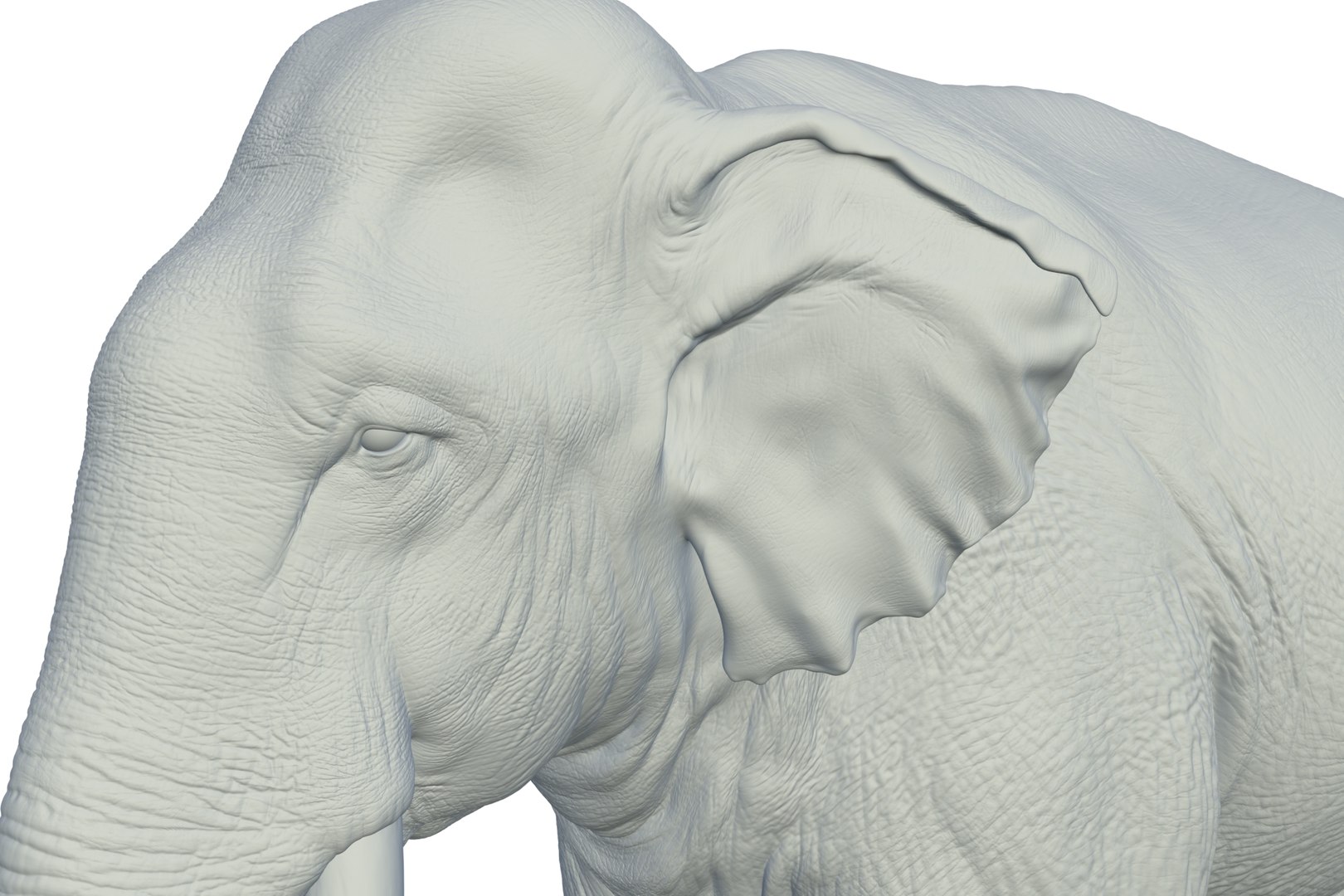 Sri Lankan Elephant 3D https://p.turbosquid.com/ts-thumb/2P/Dh6vaX/zM/render_13/jpg/1712423561/1920x1080/fit_q87/9ead41690462445840c9d568bbc43c28ef01543a/render_13.jpg